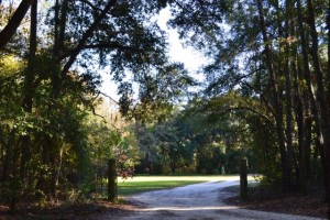 Buckeye-Huting-Lodge-6