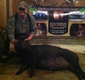 Hog Hunts