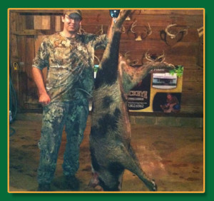 Hog Hunts