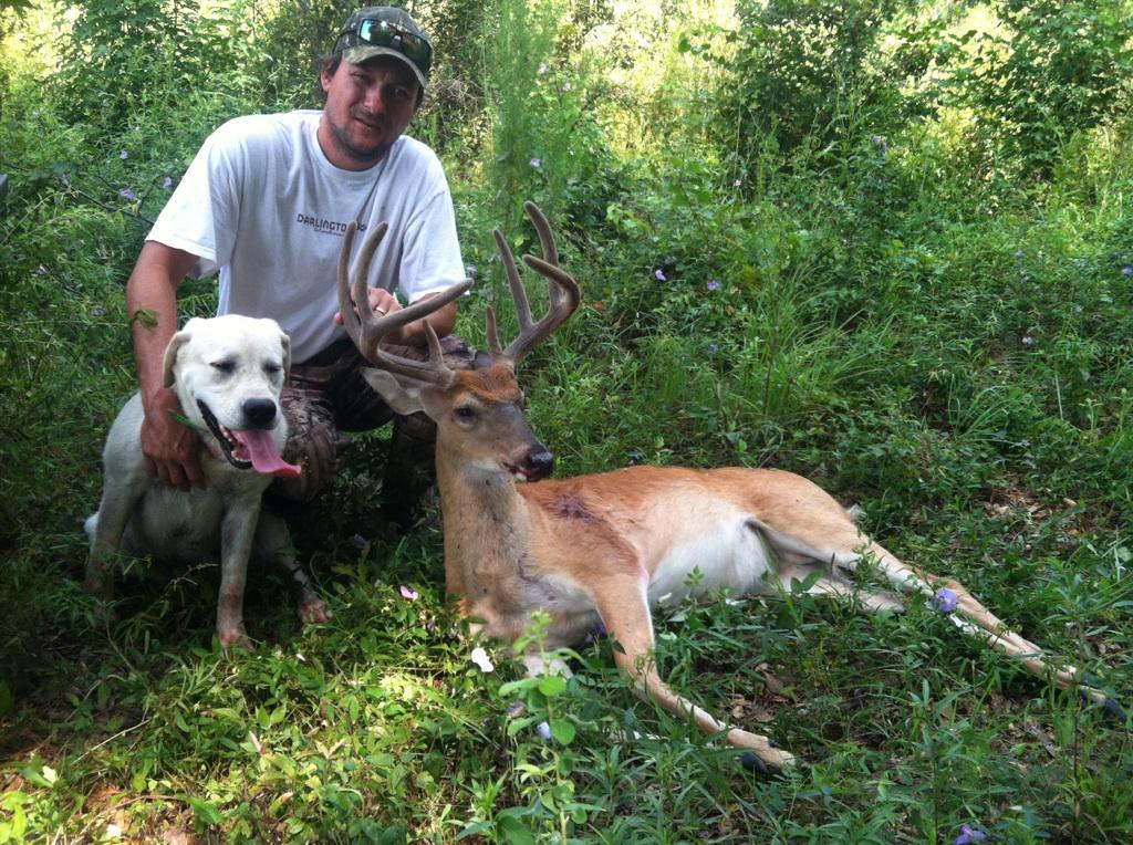 Whitetails Hunts