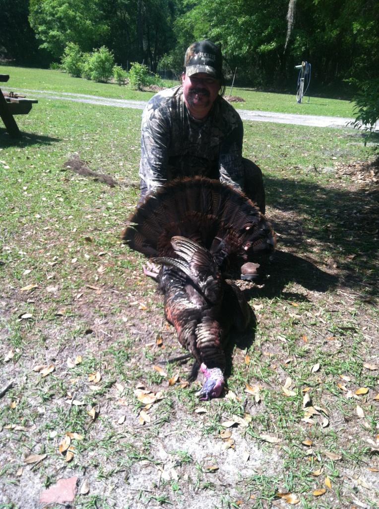 Turkey Hunts