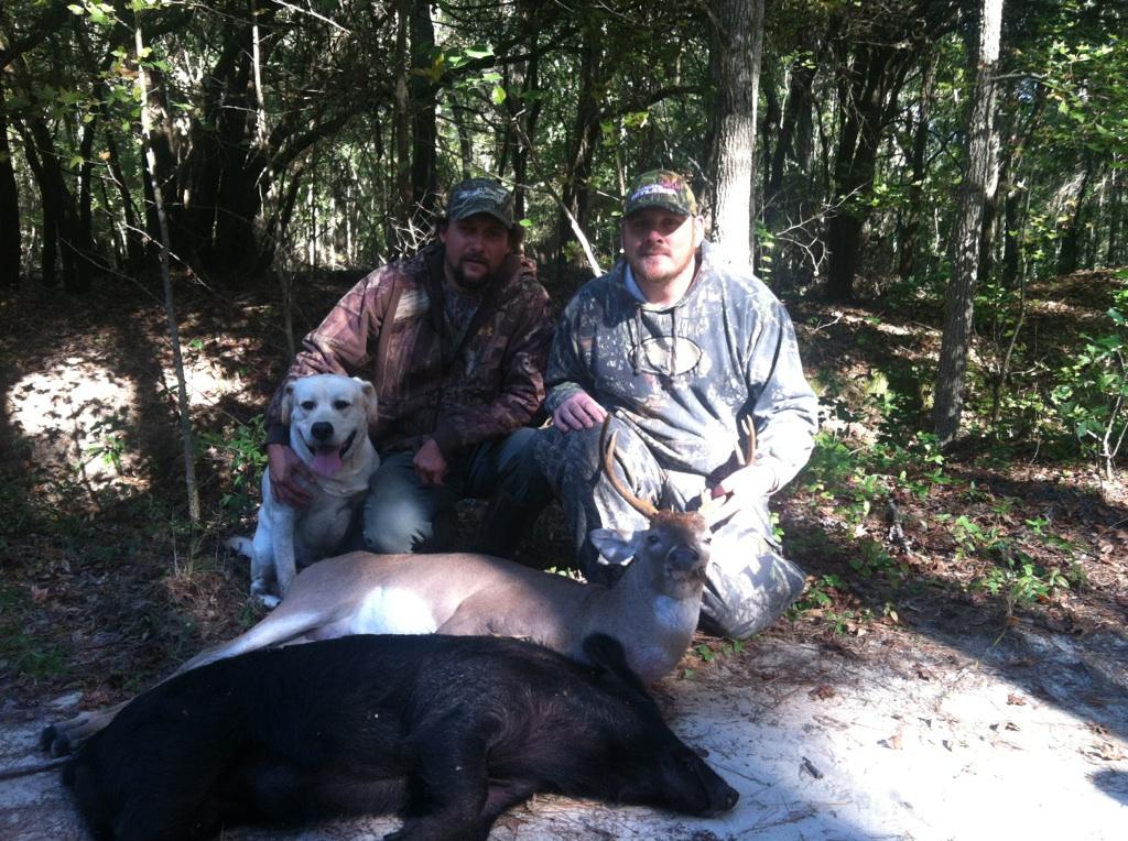 Whitetails Hunts