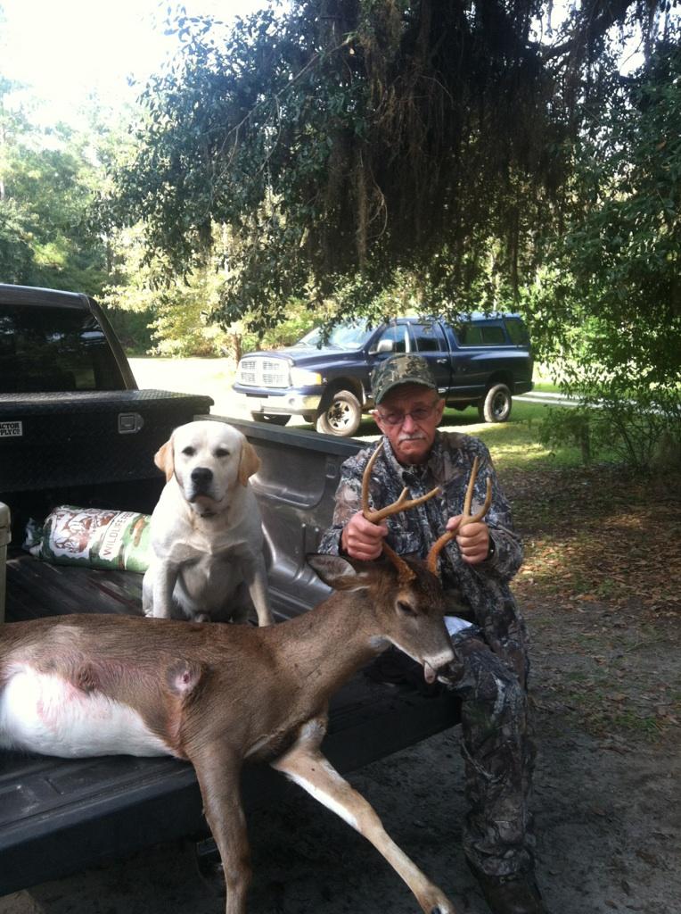 Whitetails Hunts